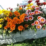 Giardini Di Corte トスコラーノ・マデルノ
