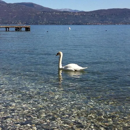 Giardini Di Corte