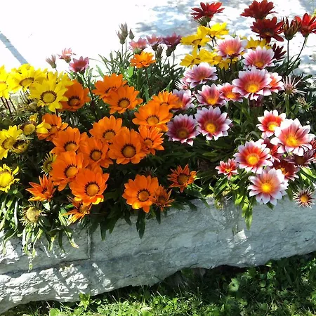 Giardini Di Corte Pulciano